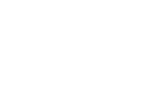 logo-safety-cartridges